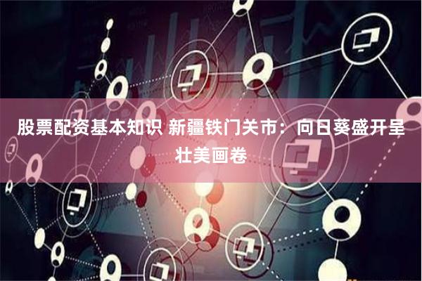 股票配资基本知识 新疆铁门关市：向日葵盛开呈壮美画卷