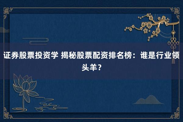 证券股票投资学 揭秘股票配资排名榜：谁是行业领头羊？