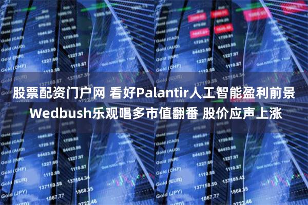 股票配资门户网 看好Palantir人工智能盈利前景 Wedbush乐观唱多市值翻番 股价应声上涨