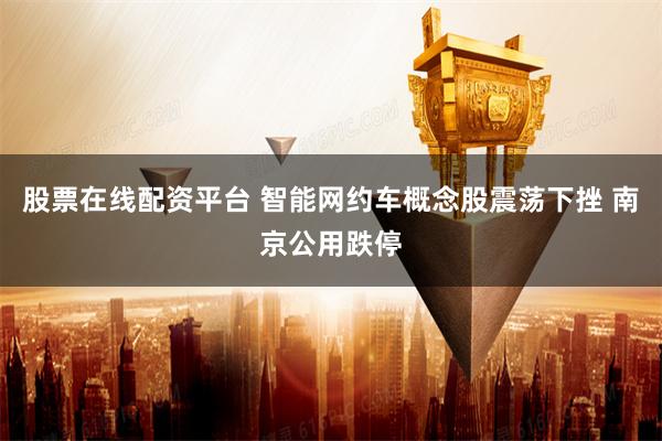 股票在线配资平台 智能网约车概念股震荡下挫 南京公用跌停